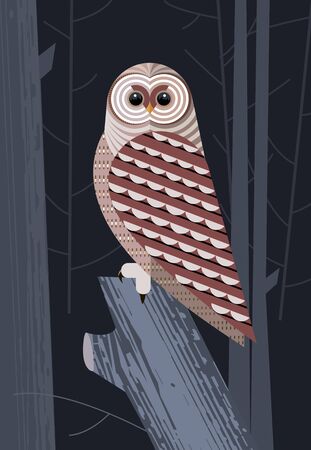 Motley owl before the hunt on night forest backgroundのイラスト素材