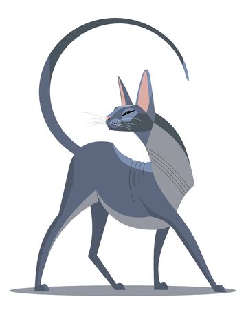 Graceful Sphinx froze in a majestic poseのイラスト素材