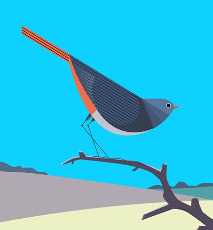 Redstart with a bright orange tail sits on a dry tree branch on a background of rolling hillsのイラスト素材