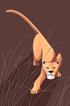 Sneaking lioness in the grass on a dark background, stylized imageのイラスト素材