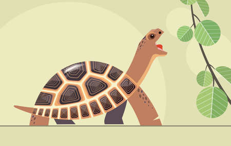 Beautiful steppe tortoise (Central Asian) reaches for a fresh green leaf, stylizationのイラスト素材
