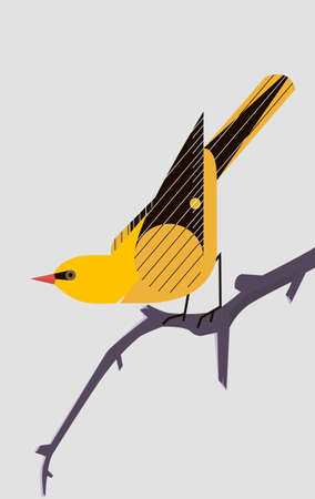 Yellow Oriole sitting on a tree branch on light gray background, stylized imageの写真素材