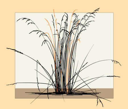 Silhouette of dry steppe grass on a light background. minimalist styleのイラスト素材