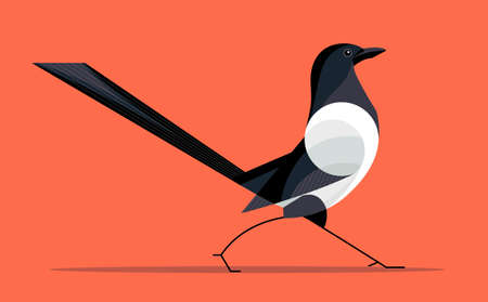 Haughty magpie walks along the path, stylized image on a orange backgroundのイラスト素材