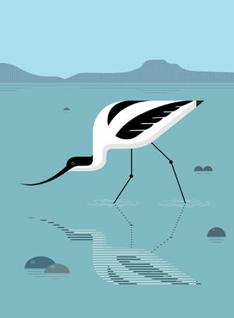 Avocet foraging in the river, stylized image, vectorのイラスト素材