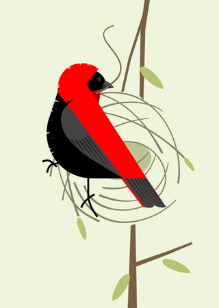 Red bishop dresses in bright plumage during mating and builds a nest on light green background, stylized imageのイラスト素材