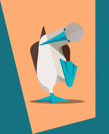 During the mating season, male blue-footed boobies raise their legs high, showing the female their color. The brighter the blue color of the legs, the more chances that the female will choose it, the stylized imageのイラスト素材