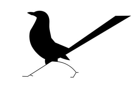 Silhouette of a walking magpie, vector image on a white backgroundのイラスト素材
