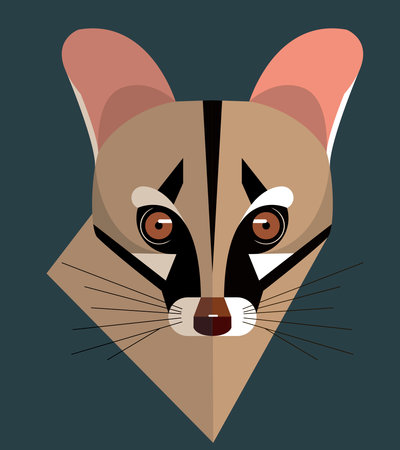 Portrait of a geneta, a predatory mammal common throughout Africa, a stylized imageのイラスト素材