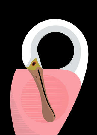 Roseate spoonbill cleans feathers, stylized image, vectorのイラスト素材