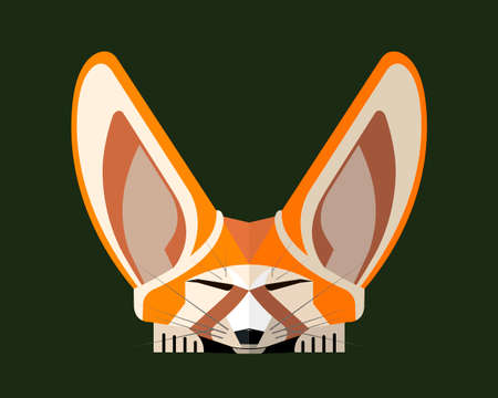 Sleeping fennec fox on a dark green background, stylized imageのイラスト素材