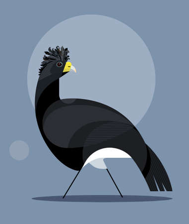 Black great curassow with a magnificent crest and yellow beak on a blue background, stylized image, vectorのイラスト素材