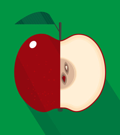 Red cut apple with a light core and seeds on a green background, stylized image, vector illustrationのイラスト素材