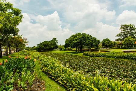 Sky, the flowers, the trees in the garden of Bangkokの写真素材