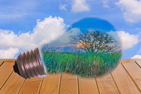 Ideas, a light bulb with a tree, put on the table with a sky background の写真素材