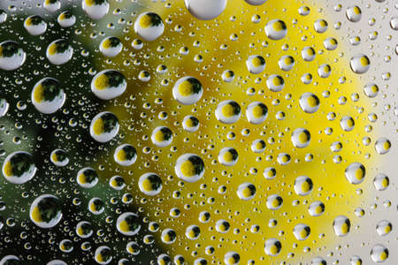 Abstract, background, shadow, flowers in water drops.の写真素材