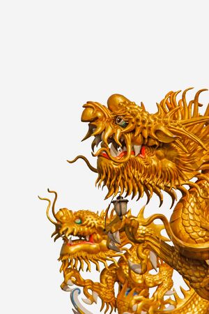 Golden dragon statue  On a white background の写真素材