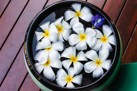 Plumeria flowers in the basin of water on the wooden floor の写真素材