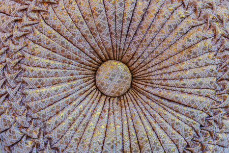 Craft pattern on the pillow in the background.の写真素材