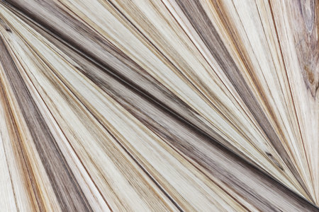 Wood texture background