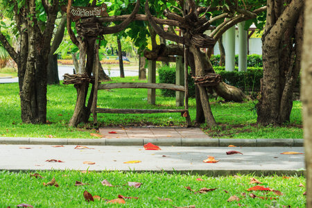 Wooden benches under the shade of trees in the park.