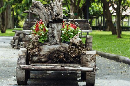 Gardening decor concept from wooden with flowersの写真素材