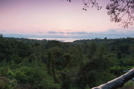 forest landscape  with river and sky sunrise morningの写真素材