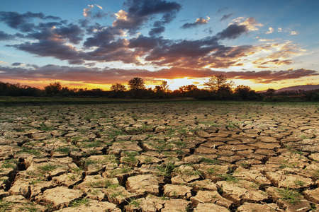 Concepts with  sunset over cracks soil   during the dry seasonの写真素材