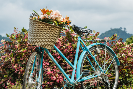 Basket with flowers on bicycle retro oldの写真素材