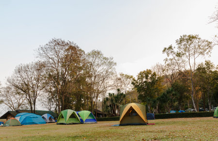 Pitch a tent for the  camping  to stay overnight.の写真素材
