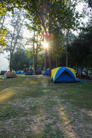 Camping tent in the lawn with sunlight morning  of forest ,In national parkの写真素材