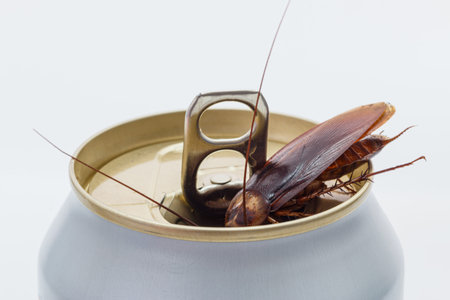 Cockroaches forage on white beverage cans.