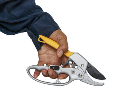 Gardener holding  pruning shears  on isolated white background.