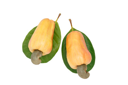 Cashews fruit with ripe on isolated white background,with clipping path