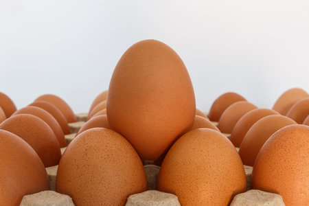 Fresh chicken eggs large in an egg stall with white backgroundの写真素材