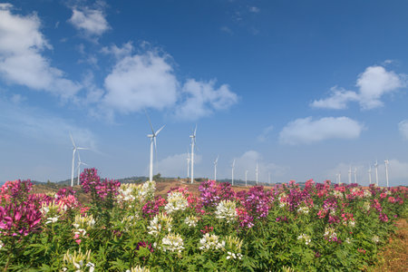 Turbines generating electricity ,from wind power for environmental,Clean energyの写真素材