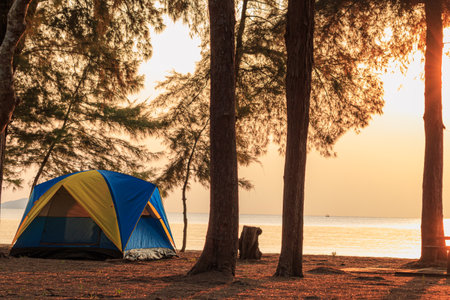 Spread the seaside tent for a relaxing holiday,camping under tree,with sunlight in morningの写真素材