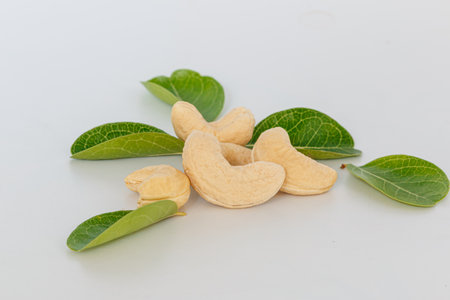 Cashew nut raw on isolated a white background.の写真素材