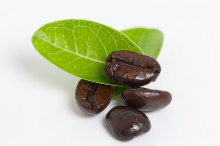 Coffee beans roasted dark with leaf on white backgroundの写真素材