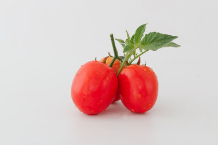 Red ripe tomatoes with leaf on a white backgroundの写真素材