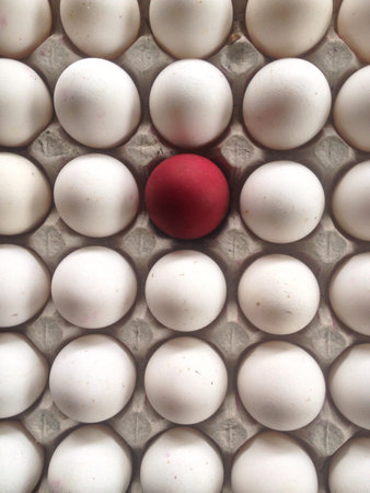 Red salted egg in a tray of fresh white eggs