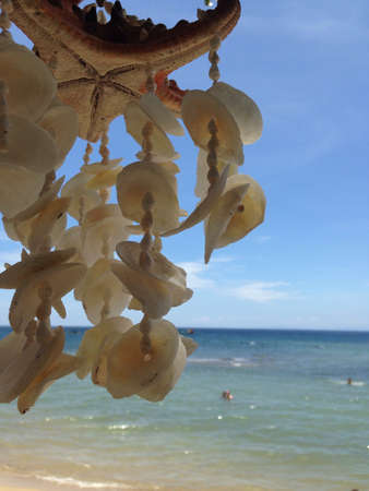 seashell chimeの素材