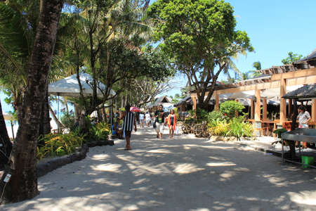 Treeのeditorial素材