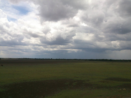 View of empty grasslandの写真素材