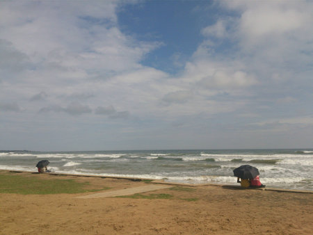 Couples with umbrella by the beachの写真素材