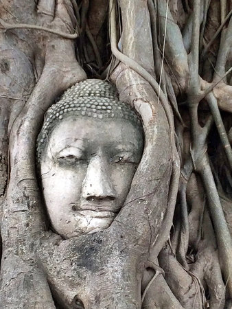 Buddha head