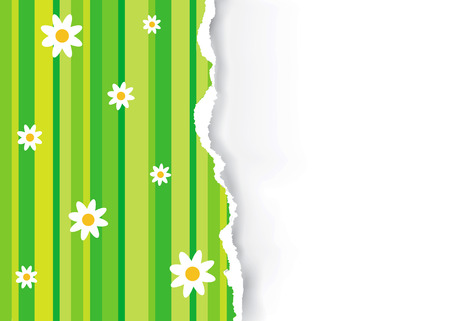 Spring decorative Ripped paper background. Green torn paper background with stylized flowers.のイラスト素材