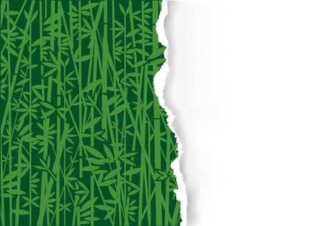 Bamboo, Decorative background, ripped paper.  Stylized Illustration of green bamboo decorative background on ripped paper.Vector available.のイラスト素材
