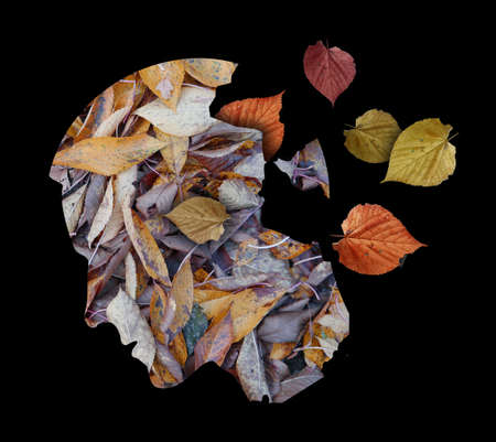 Dementia, depression, autumn, depressed man. Stylized male head silhouette. Photo-montage with autumn leaves symbolizing psychological problems.の写真素材