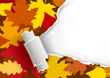 Ripped paper with autumn leaves. Illustration of torn paper with autumn leaves. Place for your image or text. Vector available.のイラスト素材